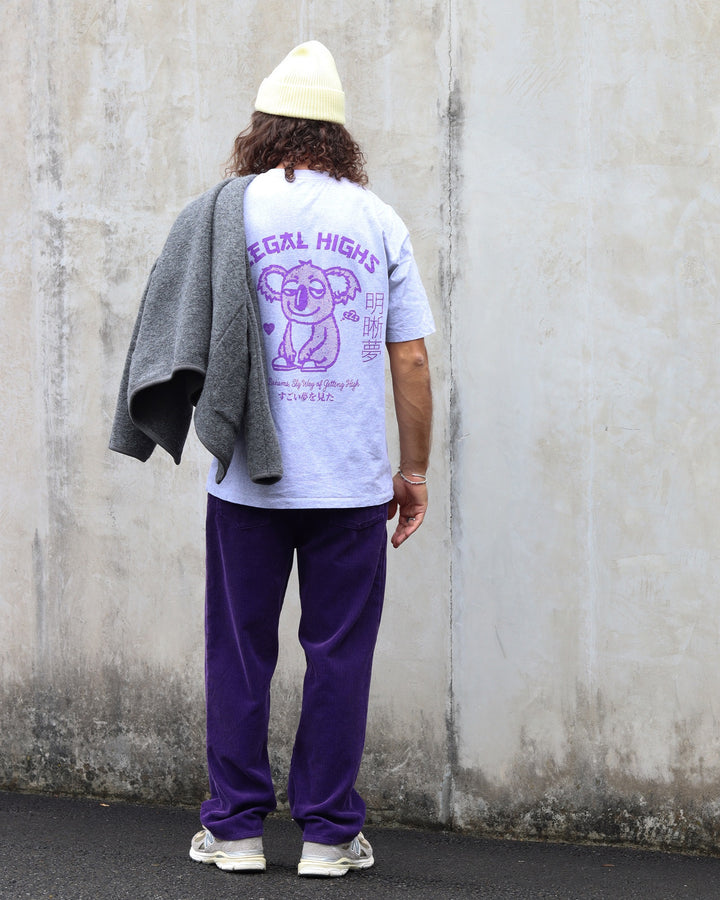 Sly Pant Parachute Purple Garment Washed